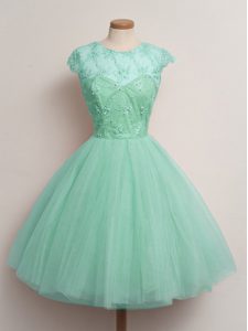 Vintage Ball Gowns Dama Dress for Quinceanera Apple Green Scoop Tulle Cap Sleeves Knee Length Lace Up