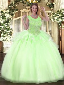 Flirting Organza Sleeveless Floor Length Ball Gown Prom Dress and Beading
