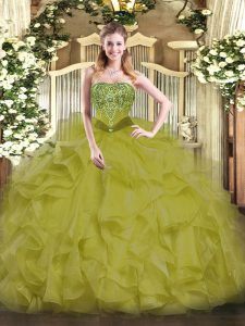 Hot Sale Organza Sleeveless Floor Length Quinceanera Gown and Beading and Ruffles