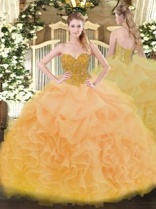Floor Length Ball Gowns Sleeveless Gold Vestidos de Quinceanera Lace Up