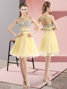 Light Yellow Side Zipper Prom Dresses Beading Sleeveless Mini Length