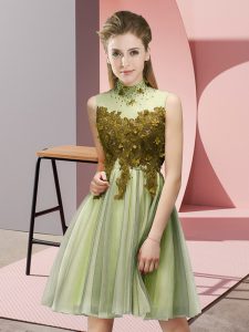 Yellow Green High-neck Neckline Appliques Quinceanera Court Dresses Sleeveless Lace Up