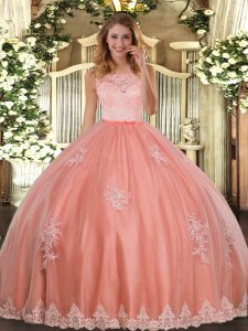 Amazing Sleeveless Lace and Appliques Clasp Handle Quinceanera Gowns