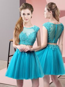 Sumptuous Baby Blue Two Pieces Tulle Scoop Sleeveless Appliques Mini Length Zipper