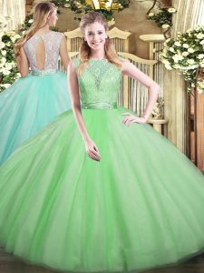 Sumptuous Sleeveless Lace Backless Quinceanera Dresses