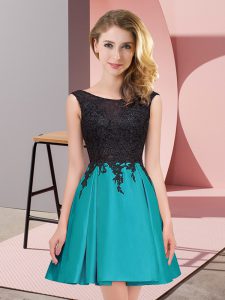 Customized Sleeveless Lace Zipper Quinceanera Dama Dress