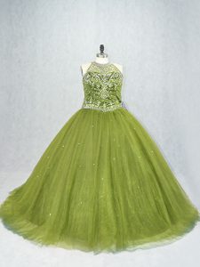 Amazing Olive Green Sleeveless Tulle Brush Train Lace Up 15 Quinceanera Dress for Sweet 16 and Quinceanera