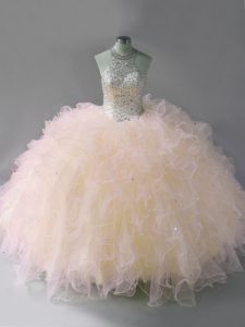 Clearance Floor Length Ball Gowns Sleeveless Pink Sweet 16 Dress Lace Up