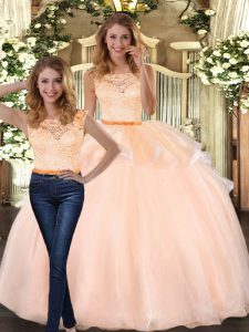 Scoop Sleeveless Organza Quinceanera Gowns Lace Zipper