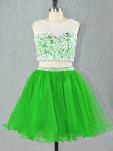 Scoop Sleeveless Organza Lace and Appliques Zipper