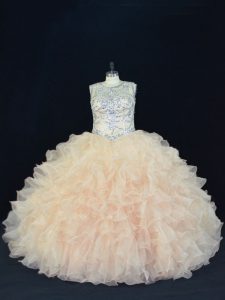 Champagne Sleeveless Organza Lace Up Quince Ball Gowns for Sweet 16 and Quinceanera