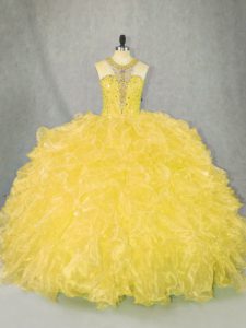 Decent Ball Gowns Ball Gown Prom Dress Gold Scoop Organza Sleeveless Floor Length Zipper