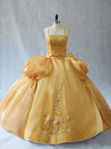 Gold Lace Up Straps Appliques Sweet 16 Dress Organza Sleeveless