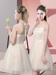 Admirable Tulle Sleeveless Mini Length Prom Evening Gown and Lace