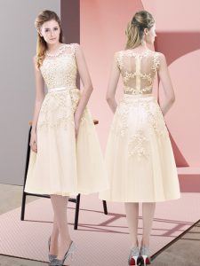 Flare Scoop Sleeveless Zipper Beading and Lace in Champagne