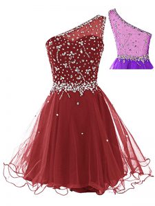 Wine Red Sleeveless Tulle Side Zipper for Prom and Party