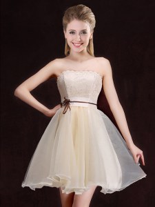 Vintage Organza Sleeveless Mini Length Dama Dress for Quinceanera and Lace