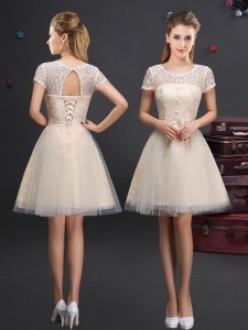 Scoop Short Sleeves Mini Length Lace and Appliques and Belt Lace Up Quinceanera Court Dresses with Champagne