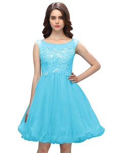 Sweet Baby Blue A-line Beading and Appliques Prom Evening Gown Zipper Organza Sleeveless Knee Length
