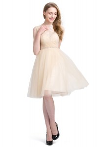 Pretty Clasp Handle Bateau Sleeveless Cocktail Dresses Knee Length Beading and Lace Champagne Tulle
