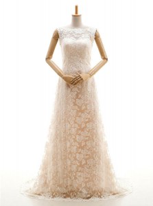 Eye-catching Bateau Sleeveless Sweep Train Clasp Handle Wedding Gown Champagne Lace