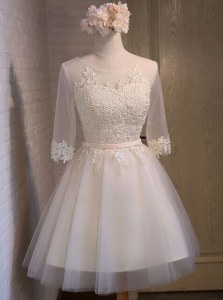 Dramatic Organza Scoop Half Sleeves Lace Up Appliques in White