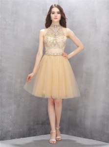 Clearance Champagne A-line Tulle High-neck Sleeveless Beading Knee Length Zipper Evening Dress