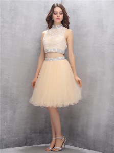 Custom Fit Champagne A-line High-neck Sleeveless Tulle Knee Length Zipper Beading and Embroidery Prom Gown