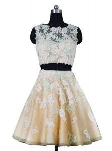 Dynamic Scoop Sleeveless Zipper Knee Length Beading and Appliques Prom Gown