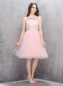 Scoop Pink A-line Beading and Appliques Prom Party Dress Zipper Organza Sleeveless Knee Length