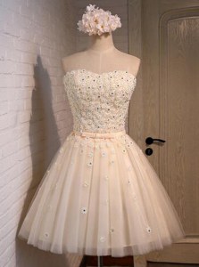Romantic Appliques Prom Dresses Champagne Lace Up Sleeveless Mini Length