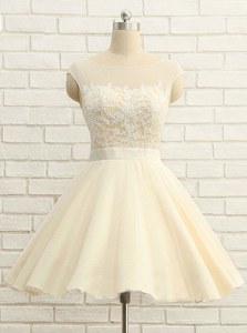 Champagne Scoop Zipper Lace Prom Evening Gown Cap Sleeves
