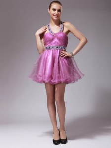 Sophisticated Halter Top Rose Pink Sleeveless Organza Zipper Prom Dress for Prom and Party