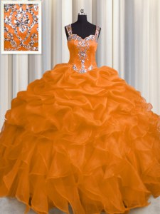 Inexpensive See Through Zipper Up Organza Sleeveless Floor Length Quinceanera Dress and Appliques and Ruffles