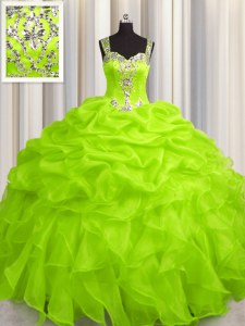 See Through Zipper Up Organza Straps Sleeveless Zipper Appliques and Ruffles Quince Ball Gowns in