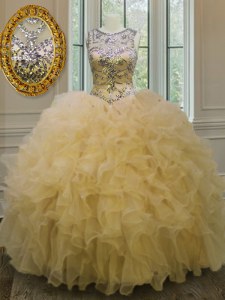 Ball Gowns Sweet 16 Quinceanera Dress Light Yellow Scoop Organza Sleeveless Floor Length Lace Up