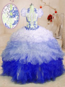 Flirting Sweetheart Sleeveless Brush Train Lace Up Quinceanera Dresses Multi-color Organza
