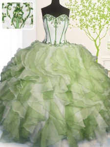 Lovely Ball Gowns 15th Birthday Dress Multi-color Sweetheart Organza Sleeveless Floor Length Lace Up