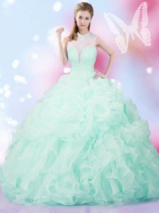 Organza Sleeveless Floor Length Sweet 16 Quinceanera Dress and Beading and Ruffles and Pick Ups