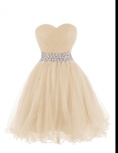 Sophisticated Organza Sweetheart Sleeveless Lace Up Belt Homecoming Dress in Champagne