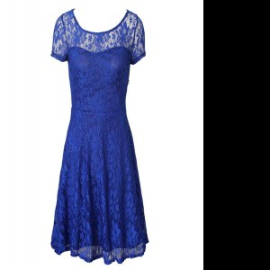 Free and Easy Blue Empire Scoop Short Sleeves Organza Tea Length Side Zipper Lace Celebrity Style Dress