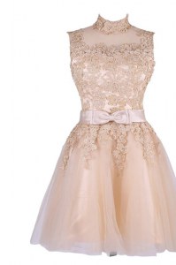 Tulle Sleeveless Knee Length Homecoming Dress and Appliques