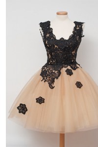 Fashion Champagne Sleeveless Tulle Zipper Dress for Prom for Prom and Party