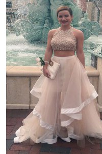 Sophisticated Scoop Floor Length Champagne Prom Evening Gown Tulle Sleeveless Sequins