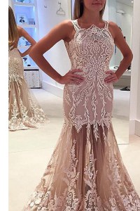 Shining Mermaid Scoop Sleeveless Sweep Train Lace and Appliques Zipper Prom Evening Gown