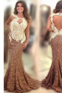 Suitable Scoop Brown Mermaid Appliques Prom Party Dress Backless Lace Sleeveless