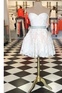 Admirable Sleeveless Zipper Knee Length Lace Prom Dress