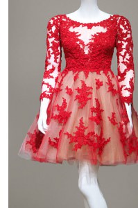 Scoop Long Sleeves Lace Homecoming Dress Appliques Zipper