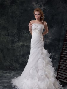 Sleeveless Brush Train Beading and Appliques and Ruching Lace Up Wedding Gown
