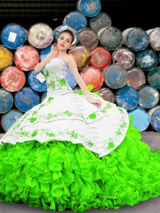 Fantastic Sleeveless Organza Floor Length Lace Up Quinceanera Gowns in with Appliques and Embroidery and Ruffles